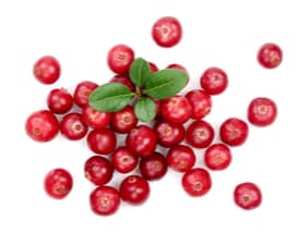 CRANBERRIES FRESH