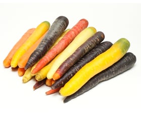 CARROTS - BABY HERITAGE