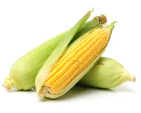 CORN