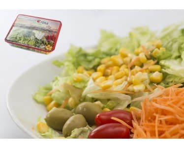 SALAD - FROTT ARTNA'S SAJF