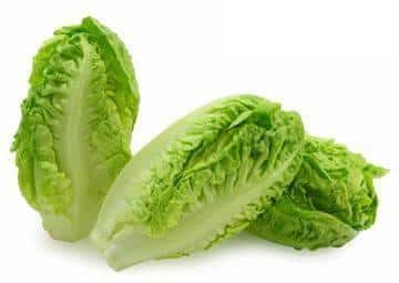 LETTUCE - BABY GEM