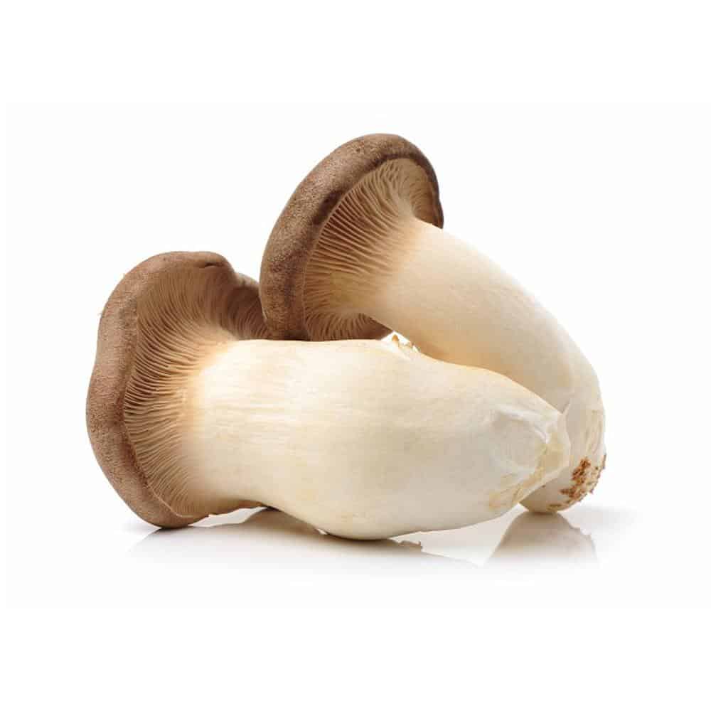 MUSHROOMS - KING OYSTER