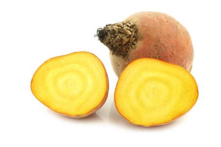 BEETROOT - YELLOW