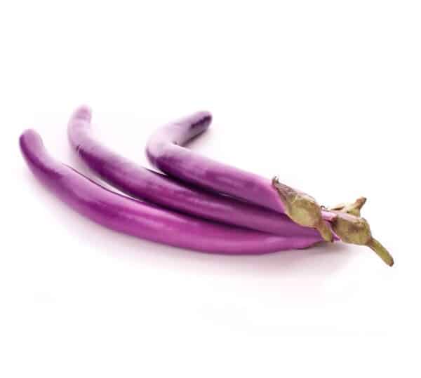 AUBERGINE CHINESE