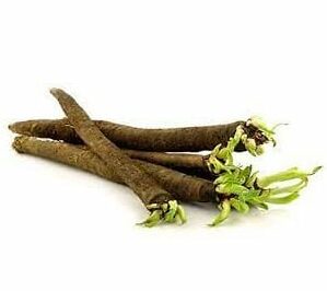 SALSIFY - BLACK