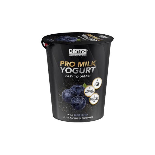 YOGURT - BENNA PROTEIN YOGURT - WILD BLUEBERRY